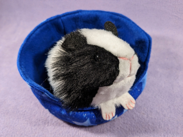 Little Black Dutch Guinea Pig Plushie